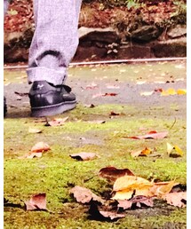 Y-3 | スニーカー