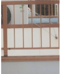 Yves Saint Laurent | スラックス