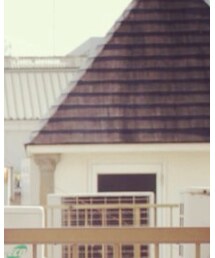 hvss | Tシャツ/カットソー