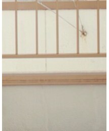 GIORGIO ARMANI | スラックス