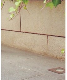 MR.GENTLEMAN | ソックス/靴下