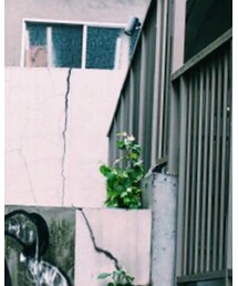 岡本太郎 | Tシャツ/カットソー