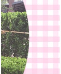 SNIDEL | Tシャツ/カットソー