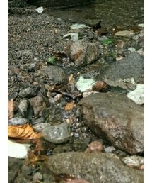 山吹水源 | 雑貨/ホビー