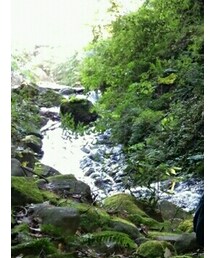 岩屋の滝 | その他