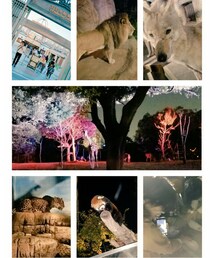 ナイトズー🐘 | その他