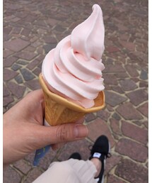 桜ソフトクリーム🌸 | その他