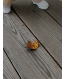 西松屋 | ソックス/靴下