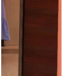 ZARA | トップス