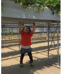 adidas | スニーカー