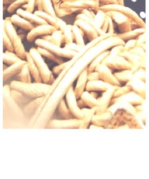 VINTAGE | かごバッグ