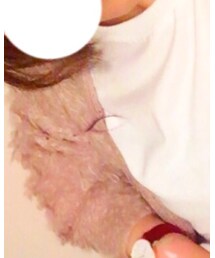 め？👀 | ペットウェア