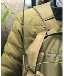 THE NORTH FACE | ノーカラージャケット