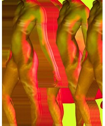 DRIES VAN NOTEN | Tシャツ/カットソー