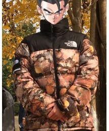 THE NORTH FACE | ダウンジャケット/コート