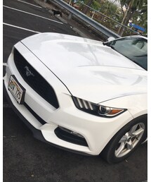 Mustang | その他