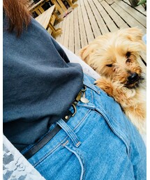 🐶 | その他