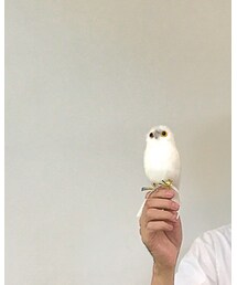 PUEBCO | おもちゃ