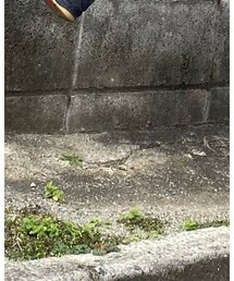 AIR JORDAN | スニーカー