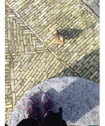 NEW BALANCE | スニーカー(スニーカー)