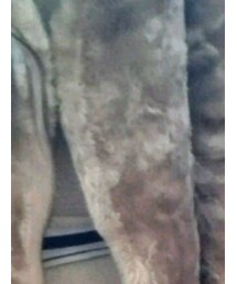 UNIQLO | その他アウター