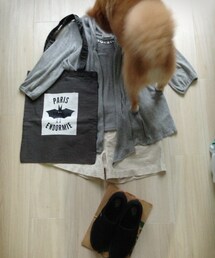 またもやお邪魔虫 | その他