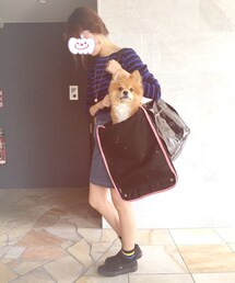 何か言いたげなたぬき様 | その他