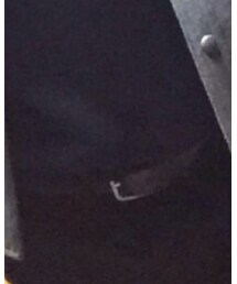 JACKROSE | ベルト