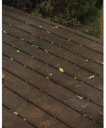 EXCELSIOR | スニーカー