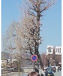 GU | デニムパンツ