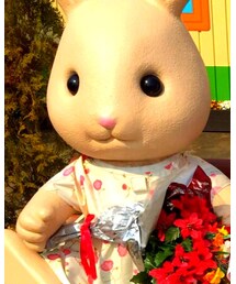 シルバニアファミリー | その他