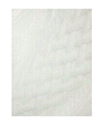 XXⅢ C’est Vingt-Trois | Tシャツ/カットソー