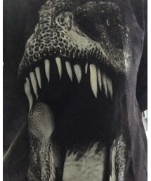 THE MOUNTAIN | Tシャツ/カットソー