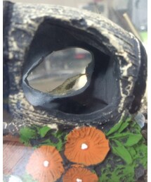 たまちゃん😄 | その他