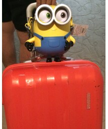 ♡ミニオン♡ | その他