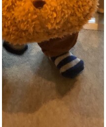 PARTY PARTY | ソックス/靴下