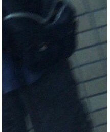 patagonia | カーゴパンツ