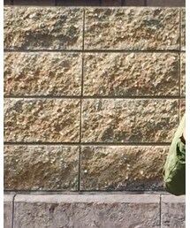 Penny | 雑貨/ホビー