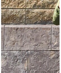 小春日和 | その他