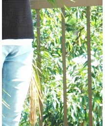 AZUL | ニット/セーター