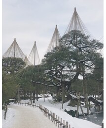 兼六園 🇯🇵 | その他