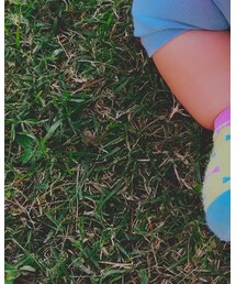 はじめての芝生 | その他