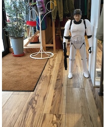 ニューフェイス！！ | その他