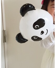 🐼 | その他