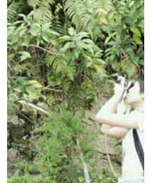 American Apparel | Tシャツ/カットソー