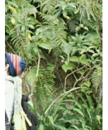 DAISO | ニットキャップ/ビーニー