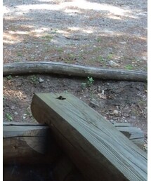 XLARGE | Tシャツ/カットソー