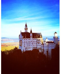 🇩🇪 | その他