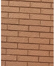 E hyphen world gallery | トップス