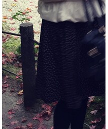 ADAM ET ROPE' | ワンピース